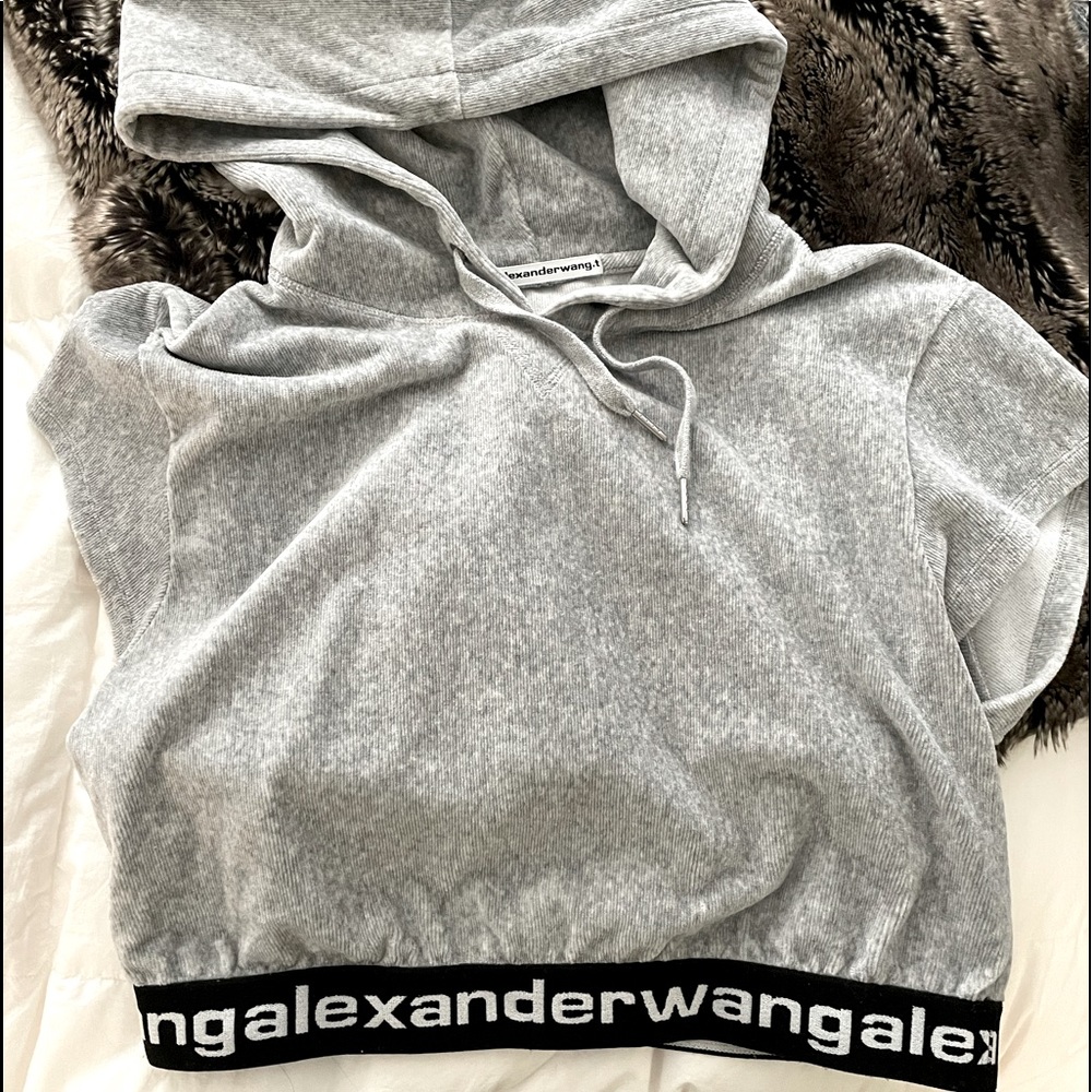 Alexander Wang Cropped Hoodie